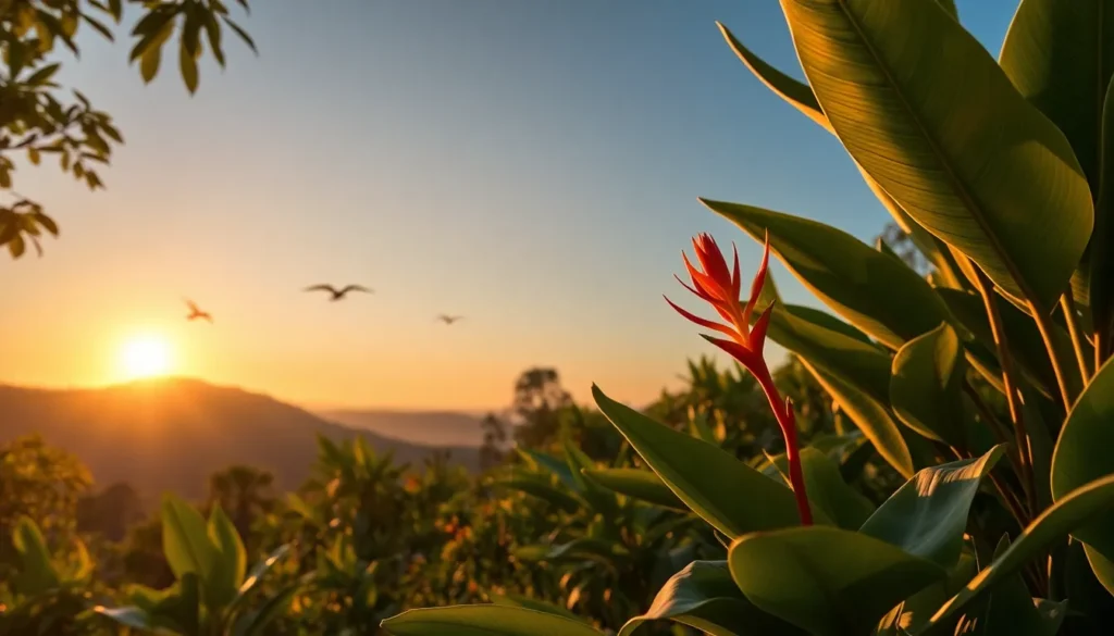 Jardín de plantas nativas colombianas