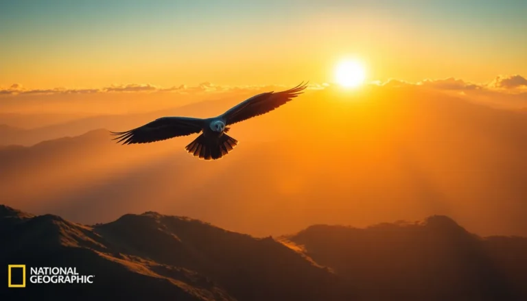 Animales raros del mundo